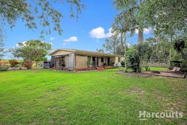 Farm For Sale - QLD - Moore Park Beach - 4670 - Family home on 1.5 acres minutes away from the beach! 5-Bay Shed  (Image 2)