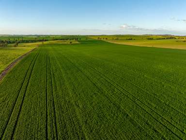 Farm Sold - NSW - Marrar - 2652 - Exceptional Riverina Mixed Farming  (Image 2)