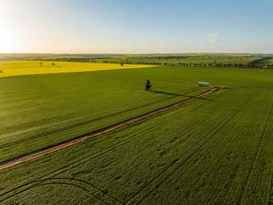 Farm Sold - NSW - Marrar - 2652 - Exceptional Riverina Mixed Farming  (Image 2)