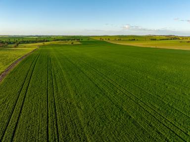 Farm Auction - NSW - Marrar - 2652 - Exceptional Riverina Mixed Farming  (Image 2)