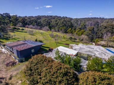 Farm For Sale - NSW - Canyonleigh - 2577 - Escape to the Bush  (Image 2)