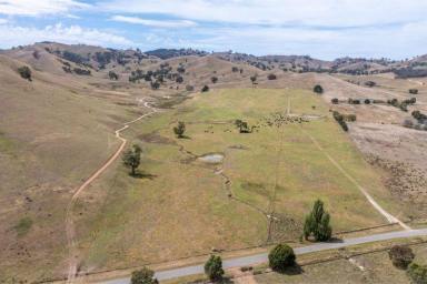 Farm For Sale - VIC - Ancona - 3715 - ‘Ancona South’  (Image 2)