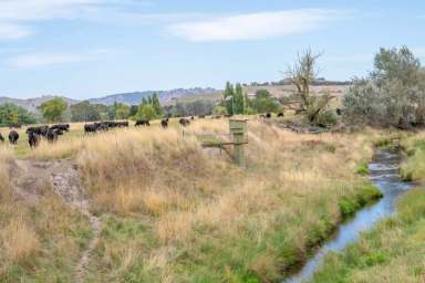 Farm Expressions of Interest - VIC - Ancona - 3715 - ‘Ancona Station’ – Large Scale Grazing Land  (Image 2)