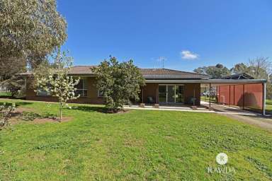 Farm For Sale - VIC - Oxley - 3678 - LIVE THE DREAM  (Image 2)