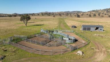 Farm Tender - NSW - Yarrowyck - 2358 - "East Myanbah" - 391 Reids Road, Yarrowyck  (Image 2)