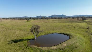 Farm Tender - NSW - Yarrowyck - 2358 - "East Myanbah" - 391 Reids Road, Yarrowyck  (Image 2)