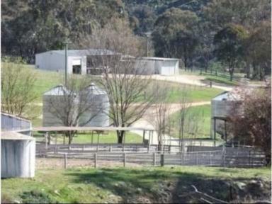 Farm For Sale - NSW - Turondale - 2795 - A Rare Opportunity Awaits You  (Image 2)