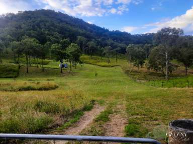 Farm For Sale - QLD - Boolboonda - 4671 - 49 Acre Slice Of Rural Paradise  (Image 2)