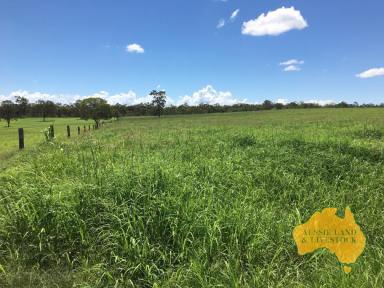 Farm For Sale - QLD - Childers - 4660 - Highly Productive Land near Childers  (Image 2)