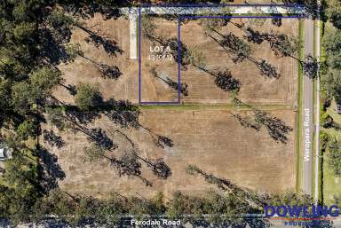 Farm For Sale - NSW - Medowie - 2318 - IT'S THE LAST LOT REMAINING!  (Image 2)