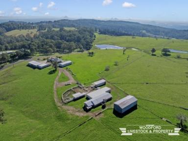 Farm For Sale - QLD - Mount Mee - 4521 - Generational Farm in tightly held Mount Mee  (Image 2)