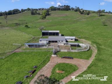 Farm For Sale - QLD - Mount Mee - 4521 - Generational Farm in tightly held Mount Mee  (Image 2)