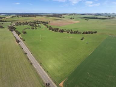 Farm For Sale - SA - Manoora - 5414 - Attractive Fertile Arable Farming + Hills Grazing  (Image 2)