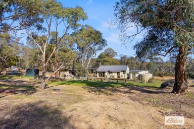 Farm For Sale - VIC - Moyston - 3377 - Eco Friendly Lifestyle Property Surrounded By Nature  (Image 2)