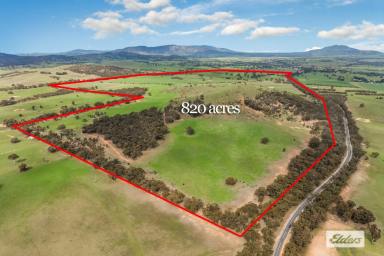 Farm For Sale - VIC - Crowlands - 3377 - 'Bates & 'Bald Hill' 820 Acres - Productive Grazing  (Image 2)