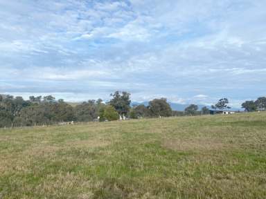 Farm For Sale - VIC - Alexandra - 3714 - One of the finest blocks on Lew Ton Circuit!  (Image 2)