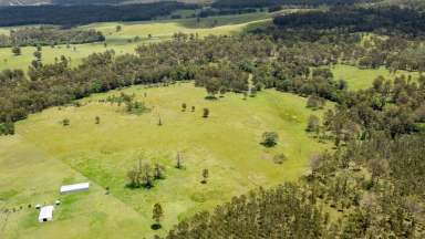 Farm For Sale - NSW - Tabulam - 2469 - YOUR OWN YELLOWSTONE  (Image 2)