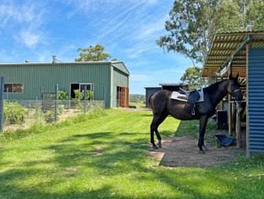 Farm For Sale - NSW - Tabulam - 2469 - AN OASIS OF WATER  (Image 2)