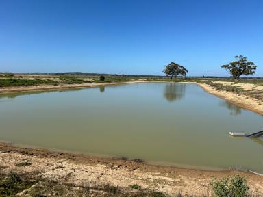 Farm For Sale - NSW - Cudgel - 2700 - Horticulture & Mixed Farming Opportunity  (Image 2)