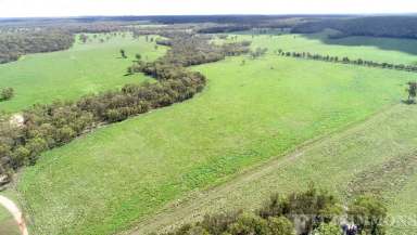 Farm For Sale - QLD - Cecil Plains - 4407 - "FOSTER PARK"  EXCELLENT BREEDER / FATTENING BLOCK  (Image 2)