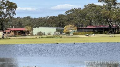 Farm For Sale - QLD - Cecil Plains - 4407 - "FOSTER PARK"  (Image 2)