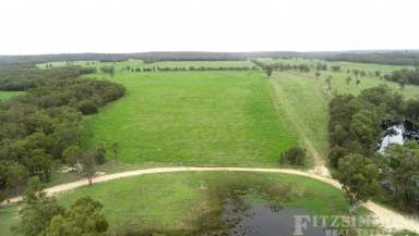 Farm For Sale - QLD - Cecil Plains - 4407 - "FOSTER PARK"  EXCELLENT BREEDER / FATTENING BLOCK  (Image 2)