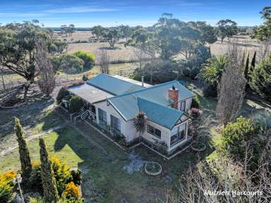 Farm For Sale - VIC - Longford - 3851 - Prime 350 Acre Grazing Property  (Image 2)