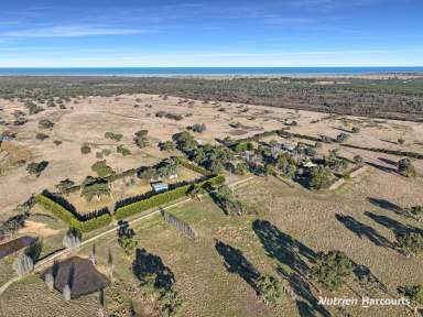 Farm For Sale - VIC - Longford - 3851 - Prime 350 Acre Grazing Property  (Image 2)