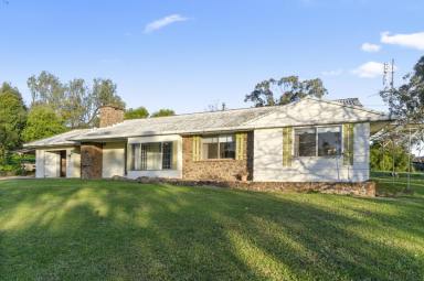 Farm For Sale - NSW - Quirindi - 2343 - STYLISH VINTAGE HOME, on 1 ha (2.5acs), in town  (Image 2)