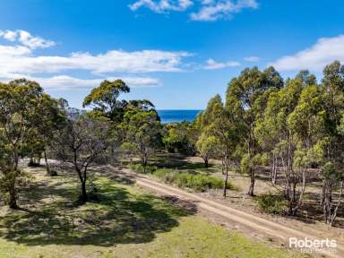 Farm For Sale - TAS - Bicheno - 7215 - Bicheno Dreaming  (Image 2)