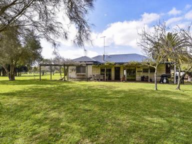 Farm For Sale - SA - Penola - 5277 - Large family home on 48 acres minutes from Penola  (Image 2)