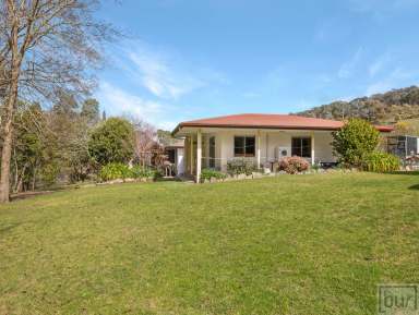 Farm For Sale - VIC - Mudgegonga - 3737 - “Ashlar” A small farming/hospitality property  (Image 2)