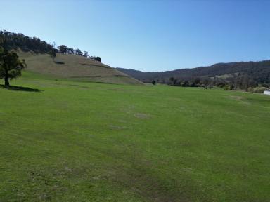 Farm Auction - VIC - Nariel Valley - 3707 - “The complete package lifestyle block with genuine productivity and recreational appeal”  (Image 2)