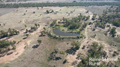 Farm Auction - QLD - Roma - 4455 - "Fossilwood" 1300 Carnarvon Hwy, Roma  (Image 2)