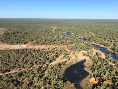 Farm For Sale - QLD - Normanton - 4890 - Mutton Hole and Oakland Park Station  (Image 2)