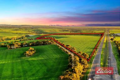 Farm For Sale - SA - Kingsford - 5118 - MAGNIFICENT 98 ACRES  (Image 2)