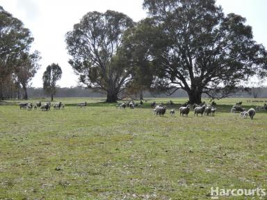 Farm For Sale - VIC - Dadswells Bridge - 3385 - Good value grazing block with views.  (Image 2)