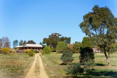 Farm For Sale - VIC - Maldon - 3463 - It's Beautiful Here  (Image 2)