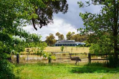 Farm For Sale - VIC - Taradale - 3447 - Sustainable Off-Grid Luxury  (Image 2)