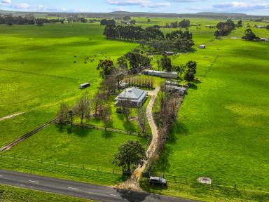 Farm For Sale - SA - Glencoe - 5291 - Beautiful character filled home on 45 acres  (Image 2)