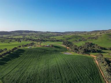 Farm For Sale - NSW - Pulletop - 2650 - Riverina Production Powerhouse with Carbon opportunities  (Image 2)