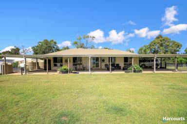 Farm For Sale - QLD - Good Night - 4671 - You Will Need An Excuse To Leave!!  (Image 2)