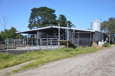 Farm For Sale - VIC - Foster - 3960 - "KOORATONG" OCEAN FRONTAGE DAIRY/GRAZING PROPERTY  (Image 2)