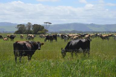 Farm For Sale - VIC - Foster - 3960 - "KOORATONG" OCEAN FRONTAGE DAIRY/GRAZING PROPERTY  (Image 2)