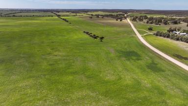 Farm For Sale - SA - Coonalpyn - 5265 - "Picturesque block with strong cropping soil"  (Image 2)