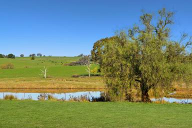 Farm For Sale - NSW - Ladysmith - 2652 - Position and Reliability at Ladysmith  (Image 2)