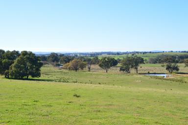 Farm For Sale - NSW - Ladysmith - 2652 - Position and Reliability at Ladysmith  (Image 2)