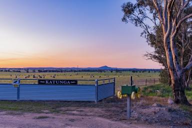 Farm Auction - NSW - Temora - 2666 - Quality mixed farming opportunity  (Image 2)