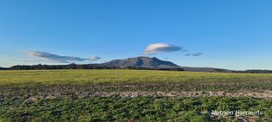 Farm For Sale - WA - Manypeaks - 6328 - Could this be the perfect Cattle block with cropping potential?  (Image 2)