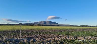 Farm For Sale - WA - Manypeaks - 6328 - Could this be the perfect Cattle block with cropping potential?  (Image 2)